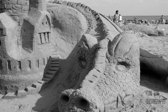 Coney Island Sand Dragon