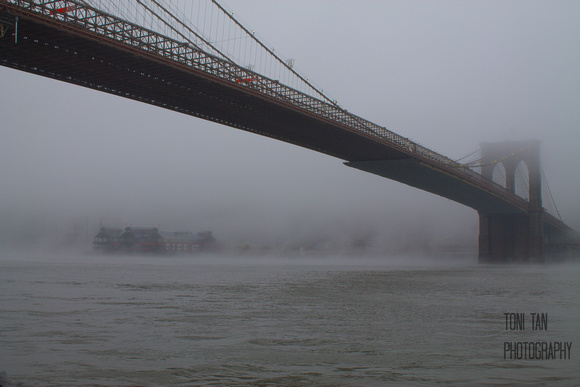 Pier 17 and the Brooklyn Bridge