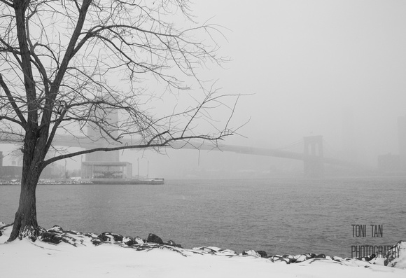 Brooklyn Bridge Apparition